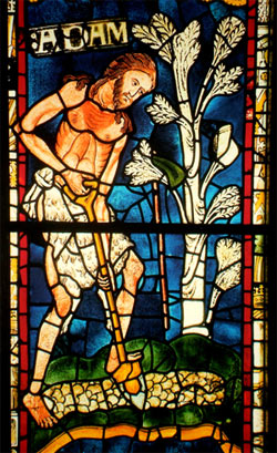 'Adam Delving' ('Adam grabend'), 12. Jhd., Fenster in Canturbury Cathedral