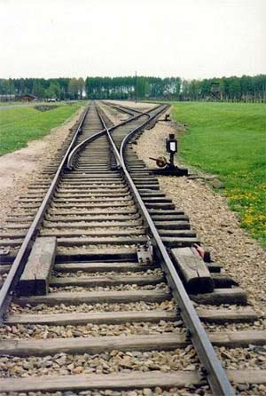 'Railroad track in Birkenau (Auschwitz II) concentration camp' 2001, Darwinek
