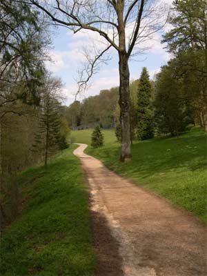 'Path at Wakehurst Place Garden', England, 2004, Paul Friel from Guildford, UK