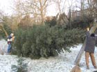 19. Dezember 2009 - Wie kommt der Weihnachtsbaum in die Bergkirche?